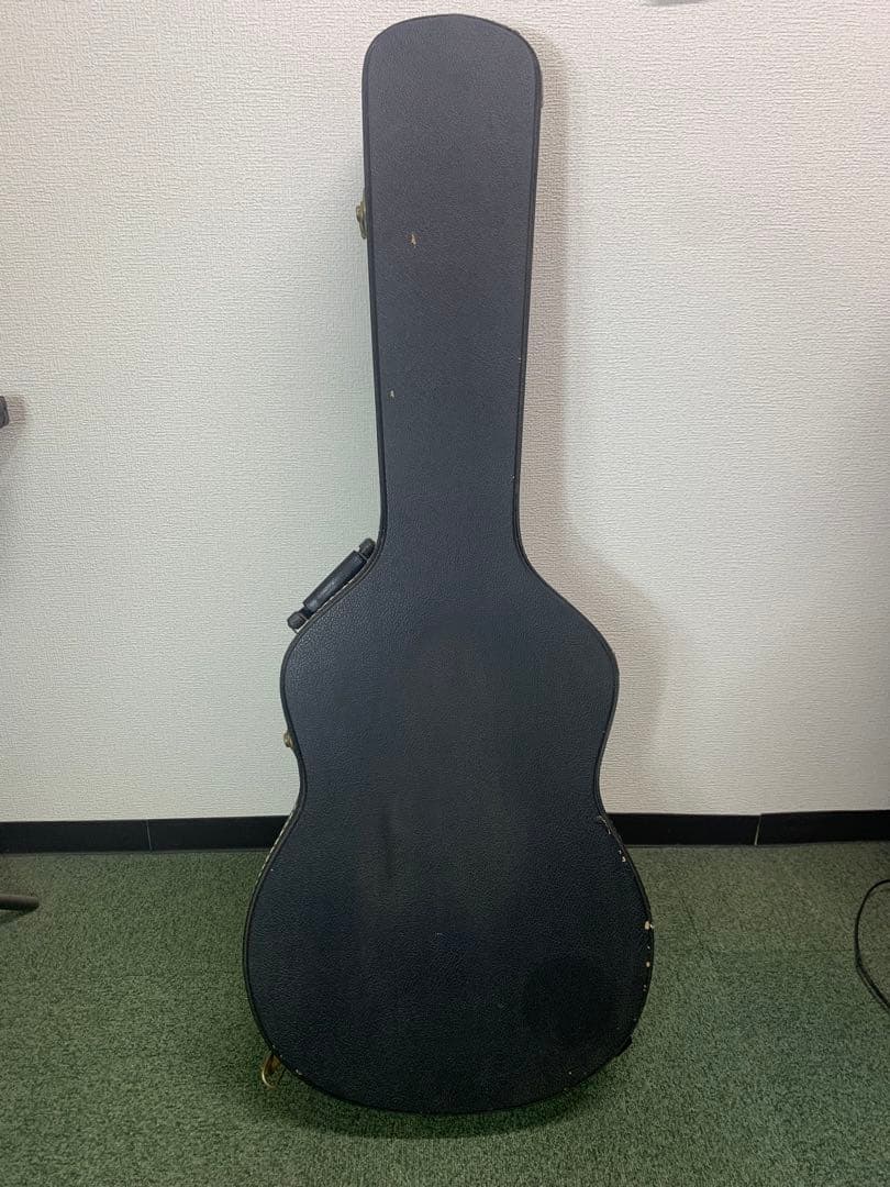 シーガル S6＋FORK プレイヤーズコンディション B-25スタイル