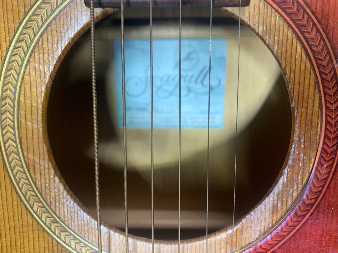 シーガル S6＋FORK プレイヤーズコンディション B-25スタイル