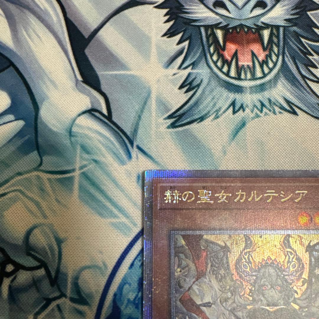 赫の聖女カルテシア 25th CF01-JPS04 日本語版 - メルカリ