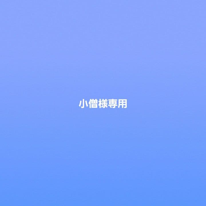 【小僧】ガラス クリア 琥珀 レンゲ　2本セット