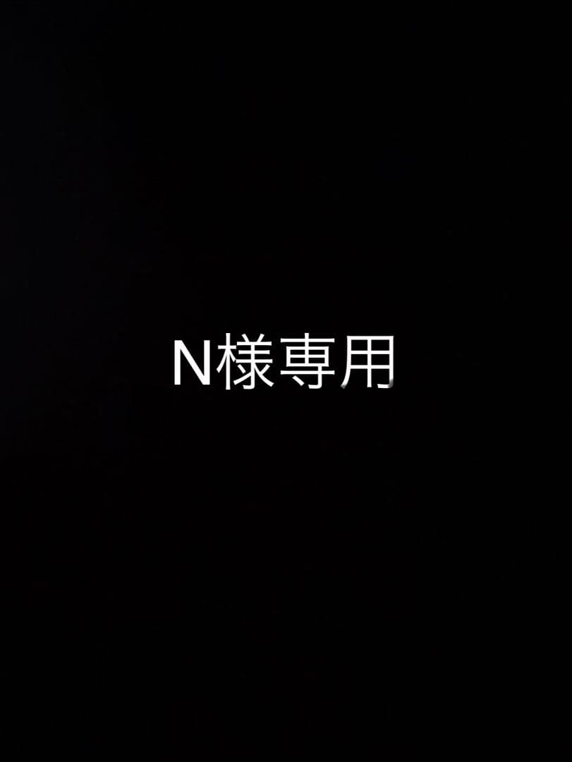 ※N アノラックジャケットL