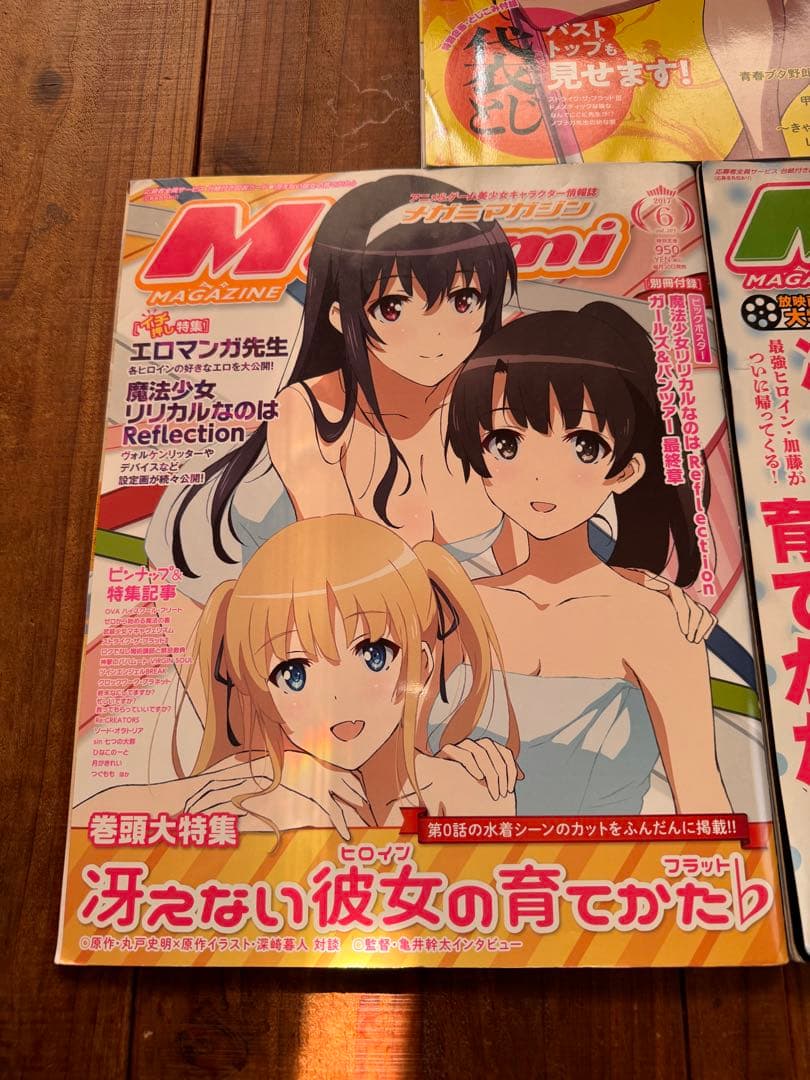 メガミマガジン ビックポスター 冴えない彼女 ストライクザブラッド 七