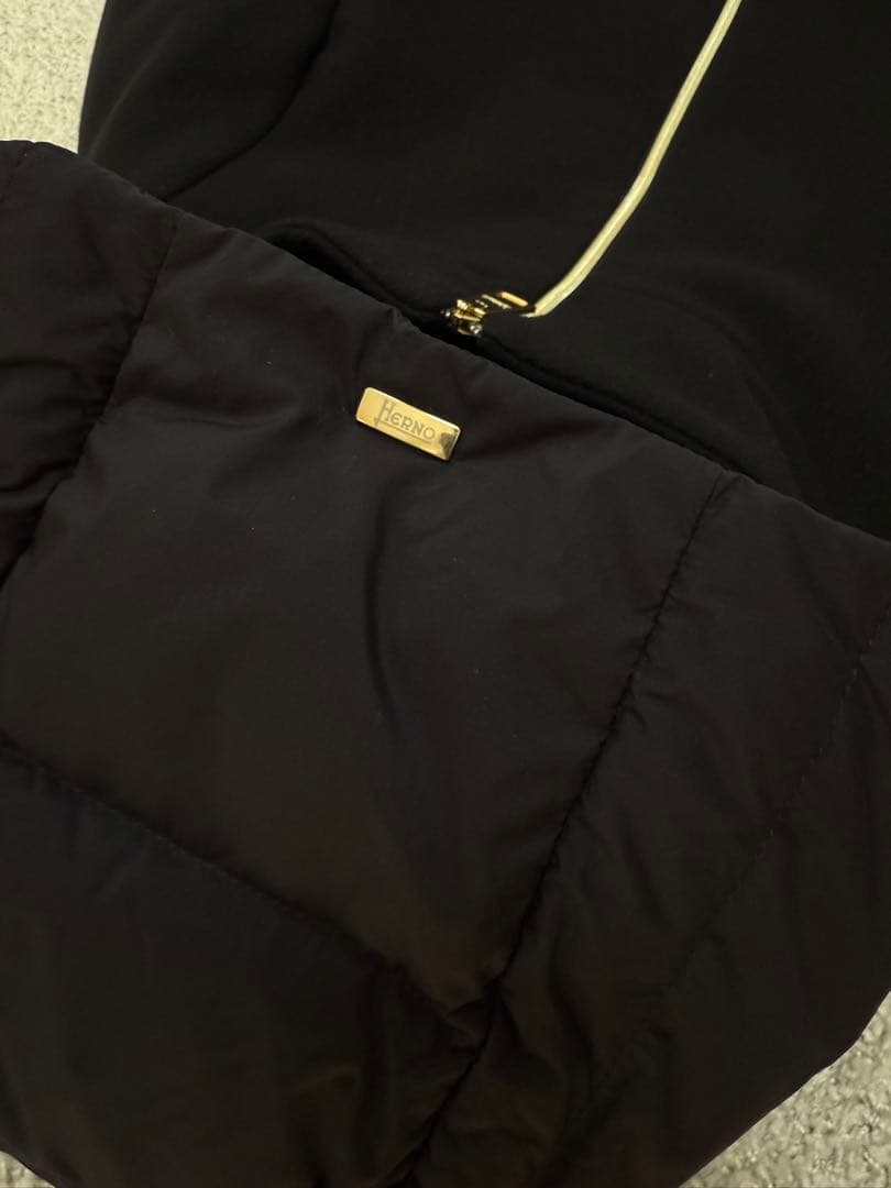 Shina様専用 極美品 ヘルノ 異素材切替 ダウンコート ブラック 42