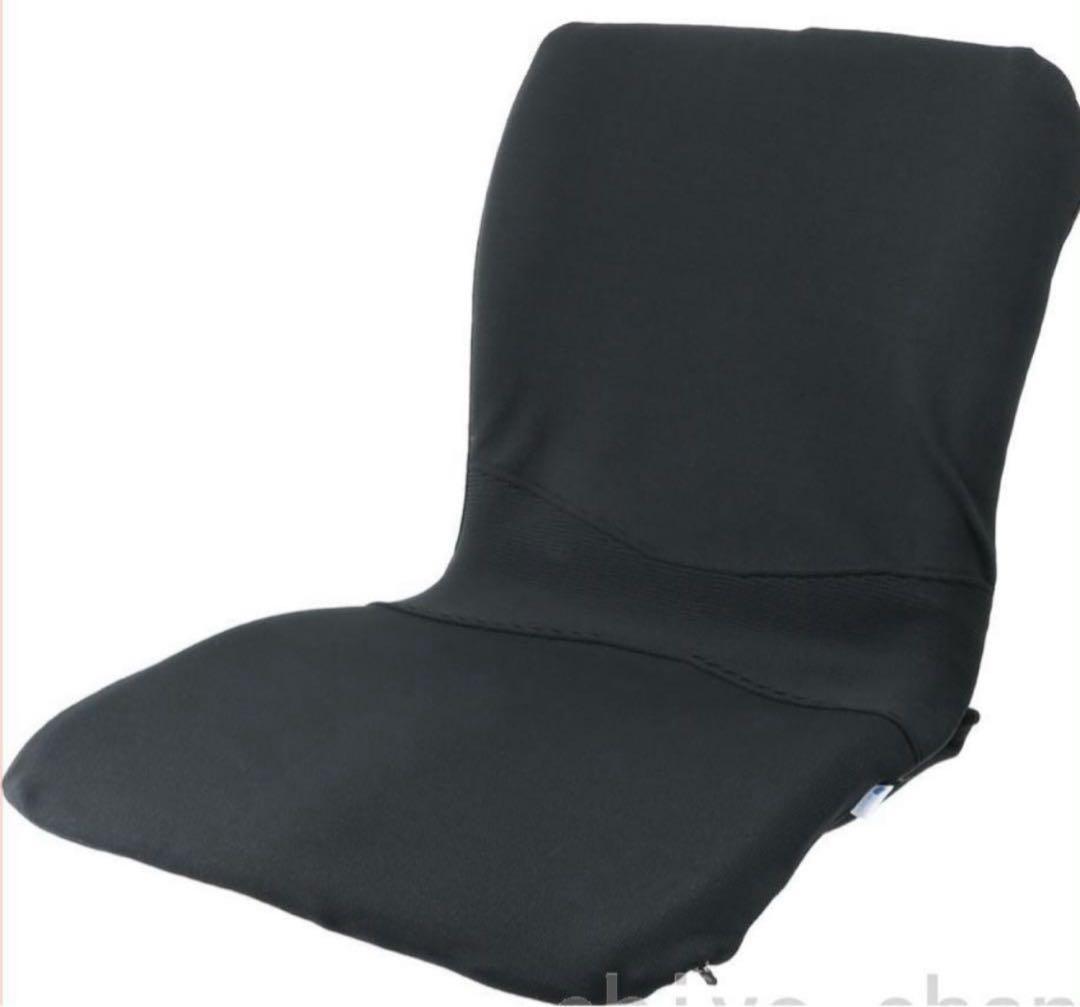 快適さを持ち歩く バッグ一体型 姿勢サポートクッション ピントエアー　ブラック