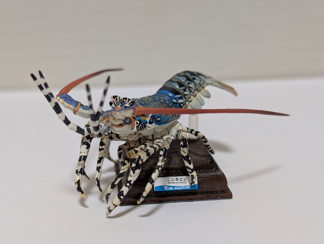 鳥羽水族館ガチャ ニシキエビ Amazon.co.jp: ネイチャーテクニカラー 鳥羽水族館 シークレット