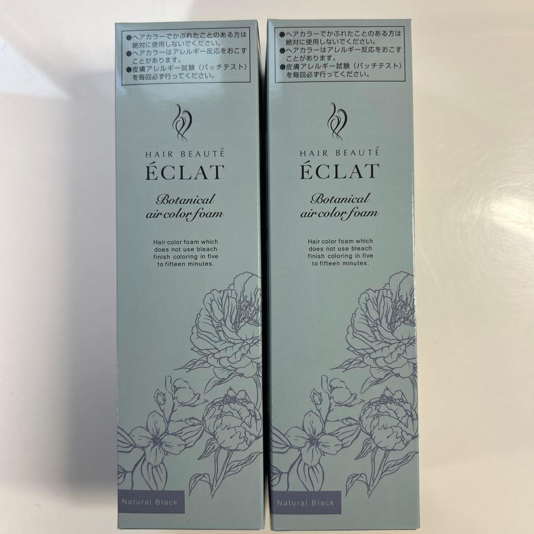 ヘアボーテ エクラ ボタニカル エアカラーフォームup ナチュラルブラック2本