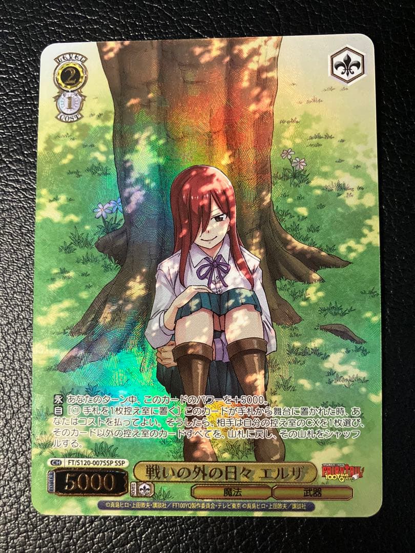 戦いの外の日々エルザ SSP ヴァイスシュバルツ フェアリーテイル