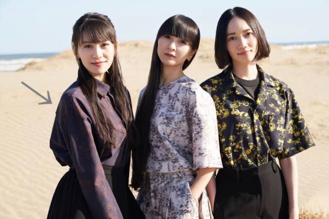 美品】Perfume closet ストレッチシャツ 長袖 総柄 - メルカリ