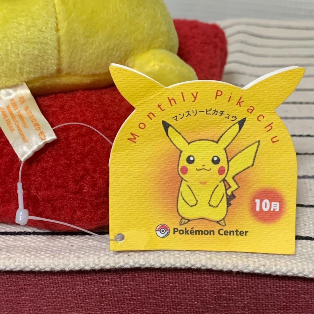 ポケモンセンター マンスリーピカチュウ 2003年10月 / ぬいぐるみ