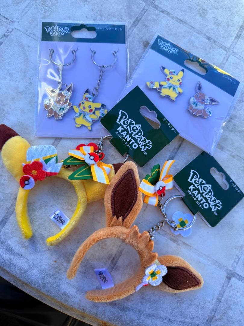 ポケパークカントー 数量限定 ポケモン ピカチュウ イーブイ キーホルダー 新品タグ付】ポケパークカントーピカチュウとイーブイのキーホルダー