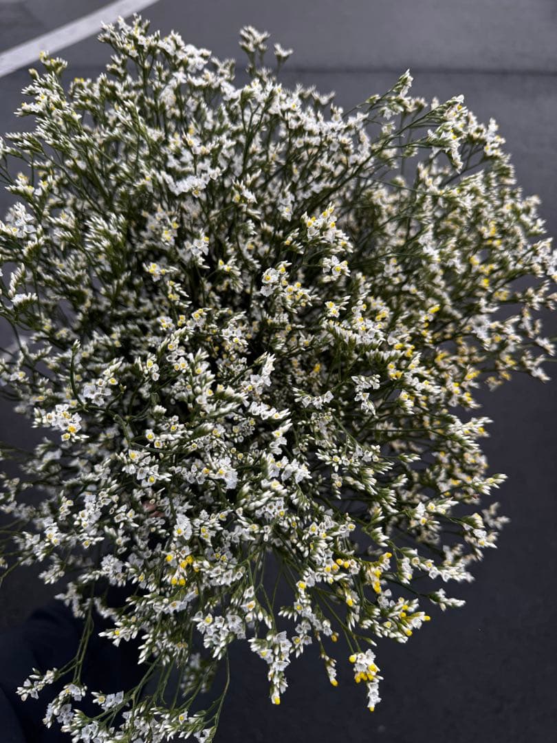 Mari〜様 リクエスト 3点 まとめ商品