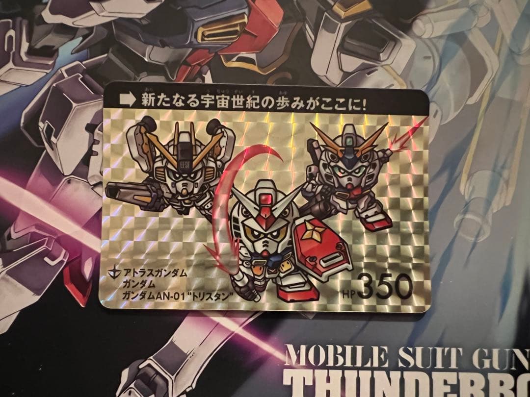 ガンダムサンダーボルト カードダス サンダーボルト特別版パンフレット付き 機動戦士ガンダム サンダーボルト 16 設定集vol.2付き限定版 (BIG