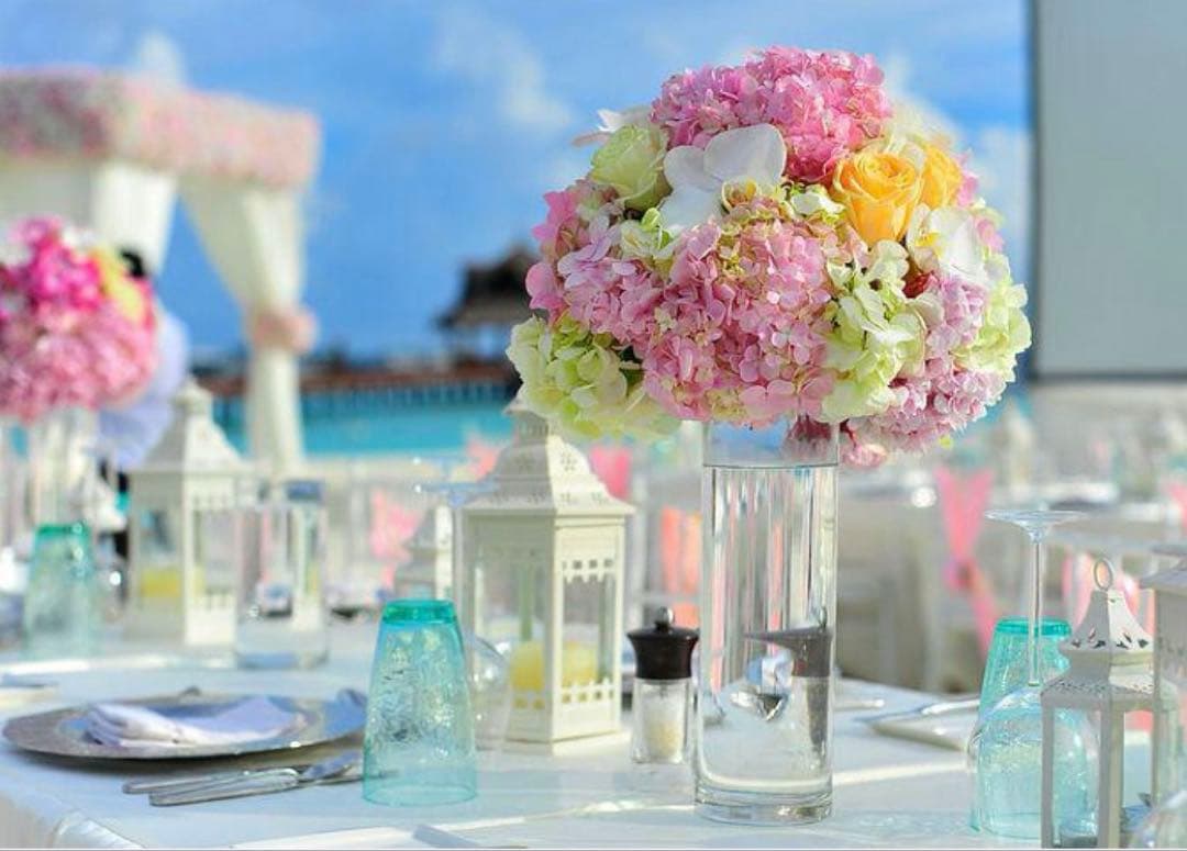 とっちゃん　様✨専用ページ✨