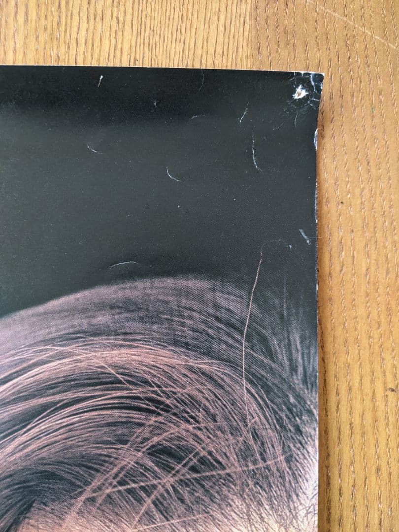 華原朋美 告知ポスター I BELIEVE - メルカリ