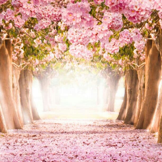 メイクアップブラシ♪確認♪専用です!