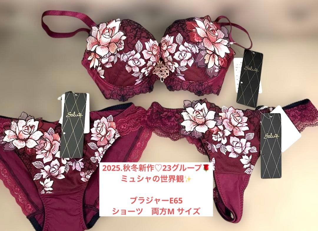 Salute サルート2025秋冬ブラジャーショーツセット E65 &Mサイズ