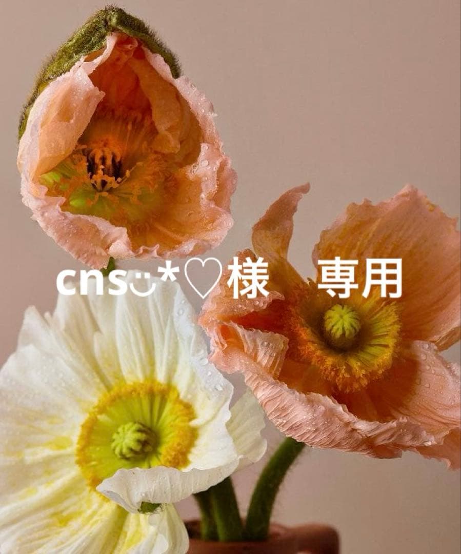 cns◡̈*♡　ミックス　サイズ1
