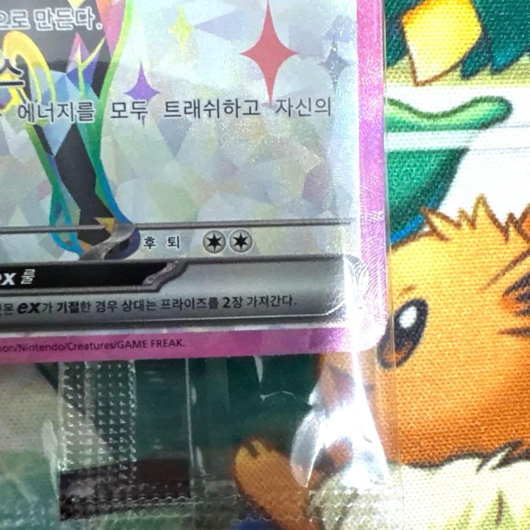 ブラッキーex ＆エーフィex 韓国限定 プロモ テラスタルフェスex