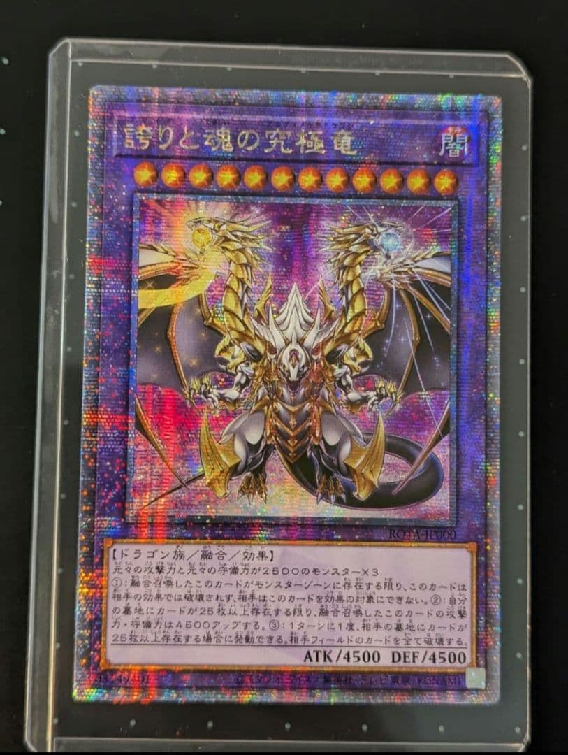 誇りと魂の究極竜　クオシク　アジア版