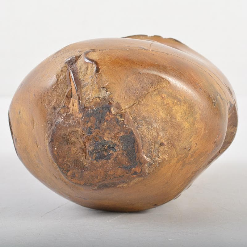 天然石 鑑賞石 安倍川 鉄丸石 置物 唐木台付 C R7096 - メルカリ