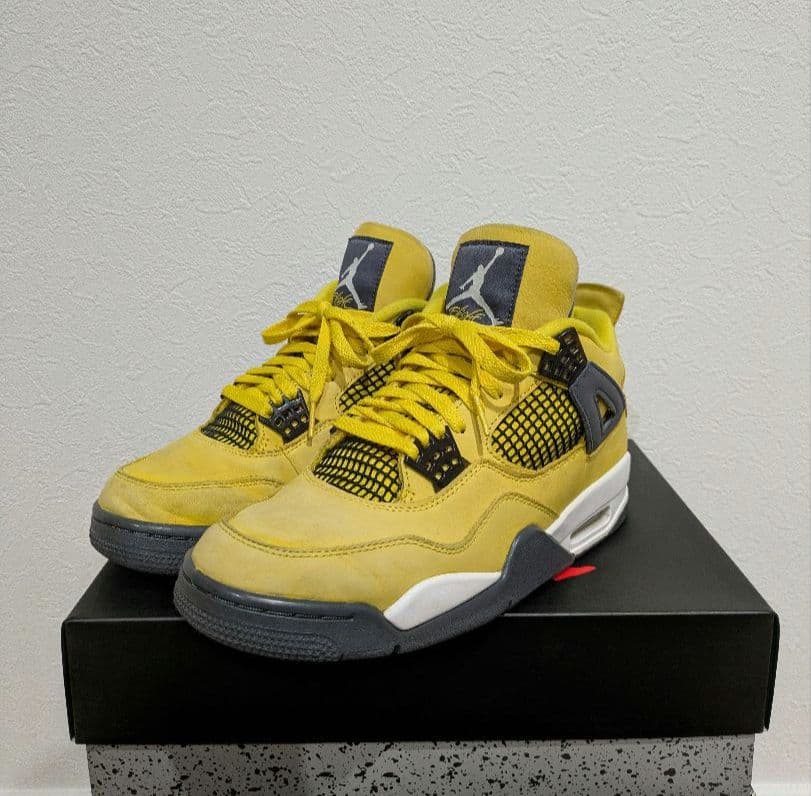 靴 Nike Air Jordan 4 \