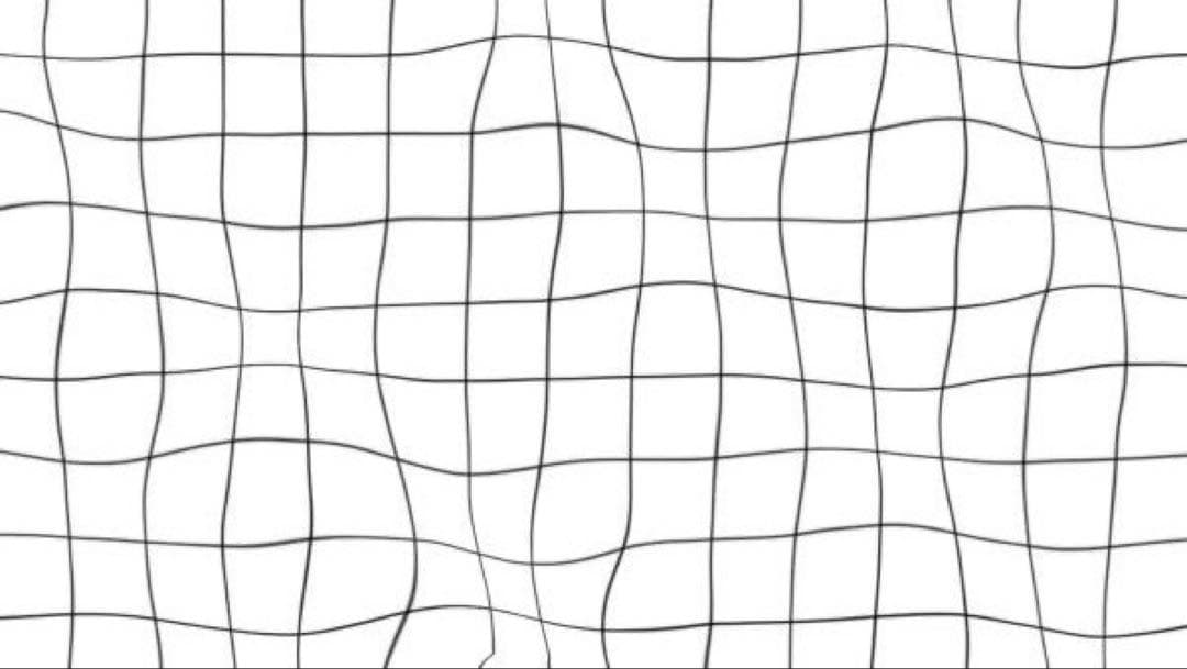 シャンプー yuchi