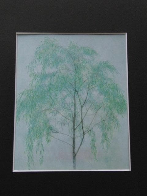 渡辺信喜、【葉柳】、希少な額装用画集画、新品高級額 額装付、状態良好