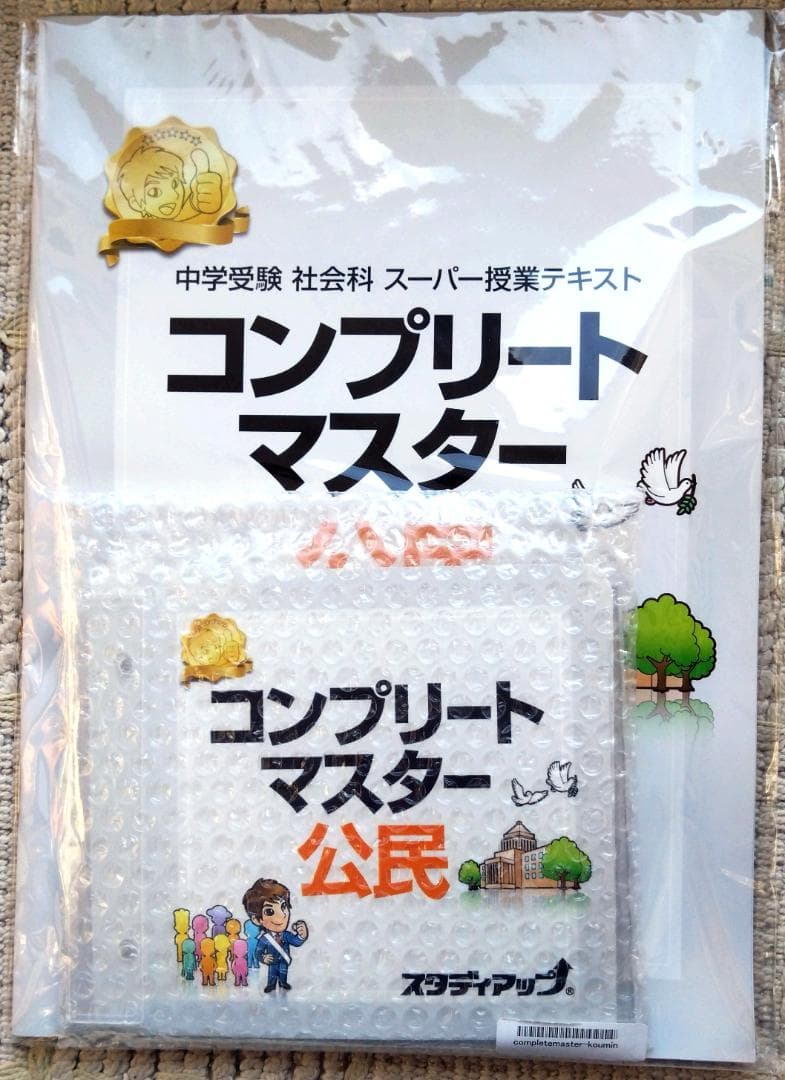 nishiXmas Sale 値下げ　コンプリートマスター　公民