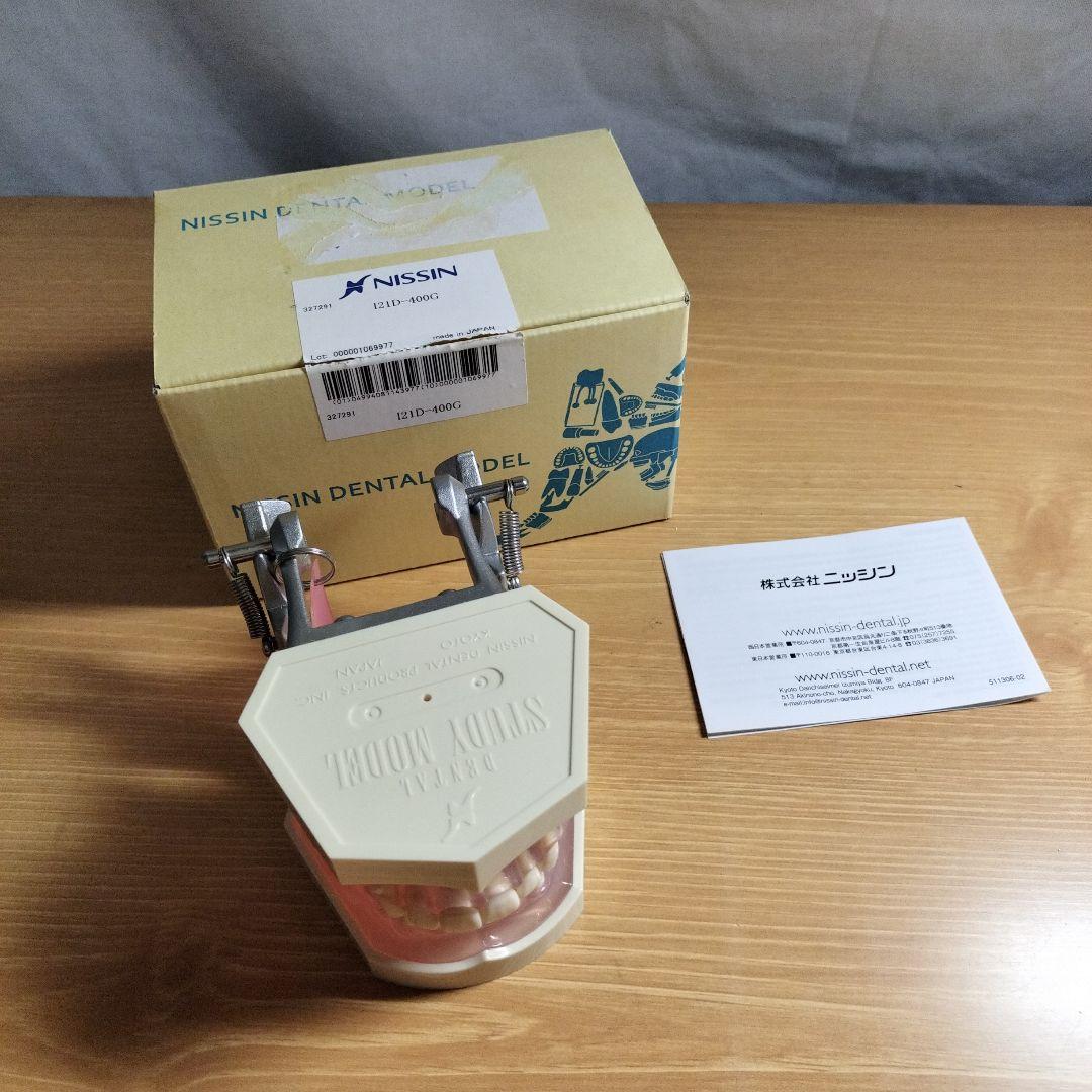 v*w様 NISSIN ニッシン デンタルモデル 顎模型 i21d-400g