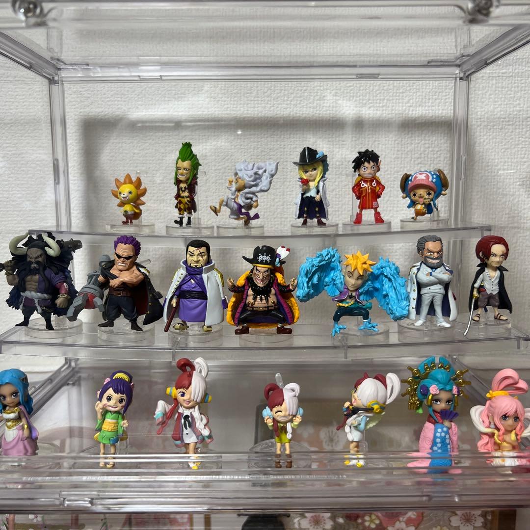 ワンピの実 20体セット ニカ シャンクス ウタ ティーチ 黒ひげ