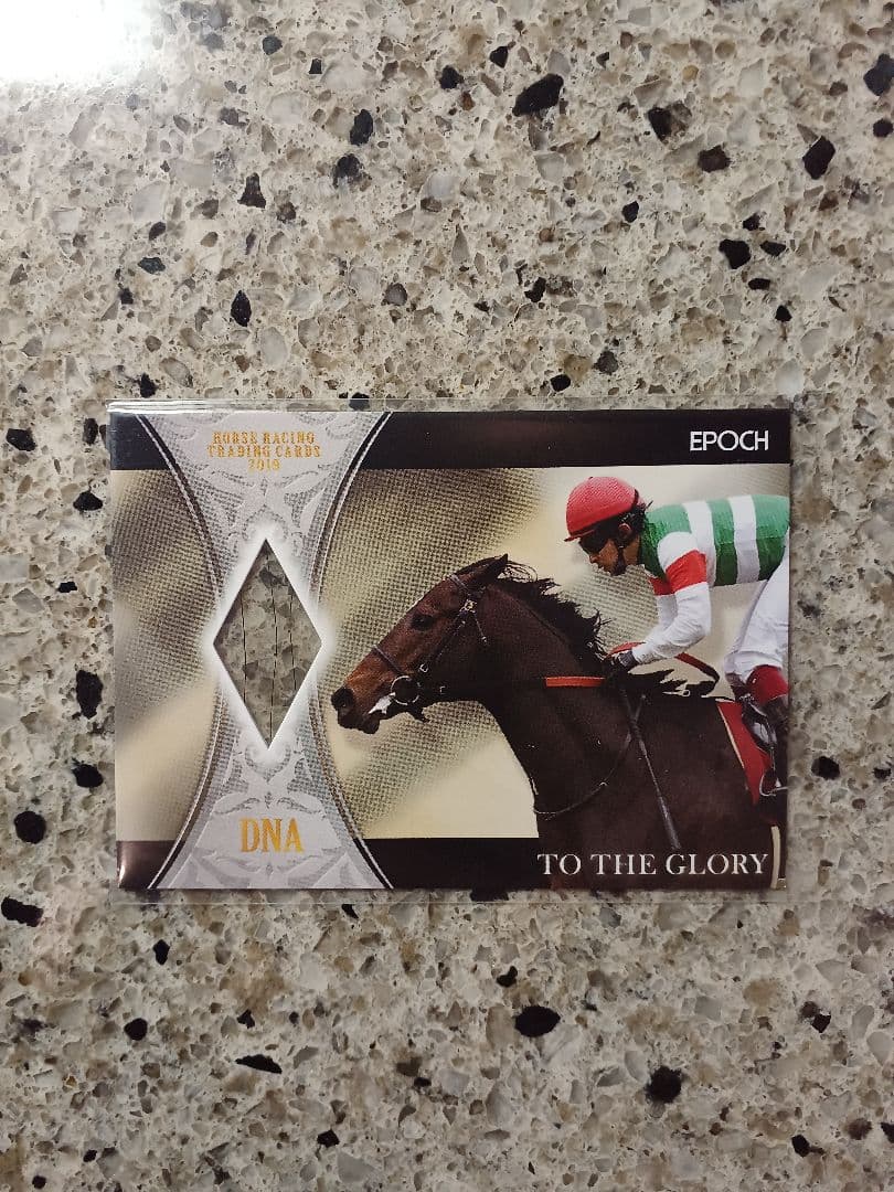 EPOCH 2019 ホースレーシング　トゥザグローリー　DNAカード　/50 EPOCH 2019 ホースレーシング トゥザグローリー DNAカード /50