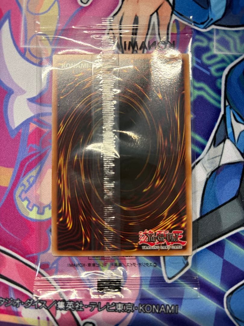 THE LADY'S PROTECTORS ウルトラ 日本選手権 プロモ - メルカリ