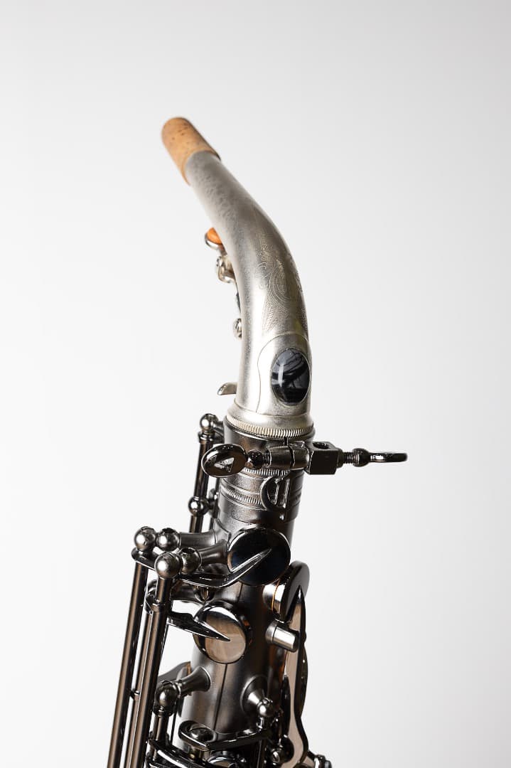 美品 Cannonball A5-B Ice B アルトサックス最終値下げ - メルカリ