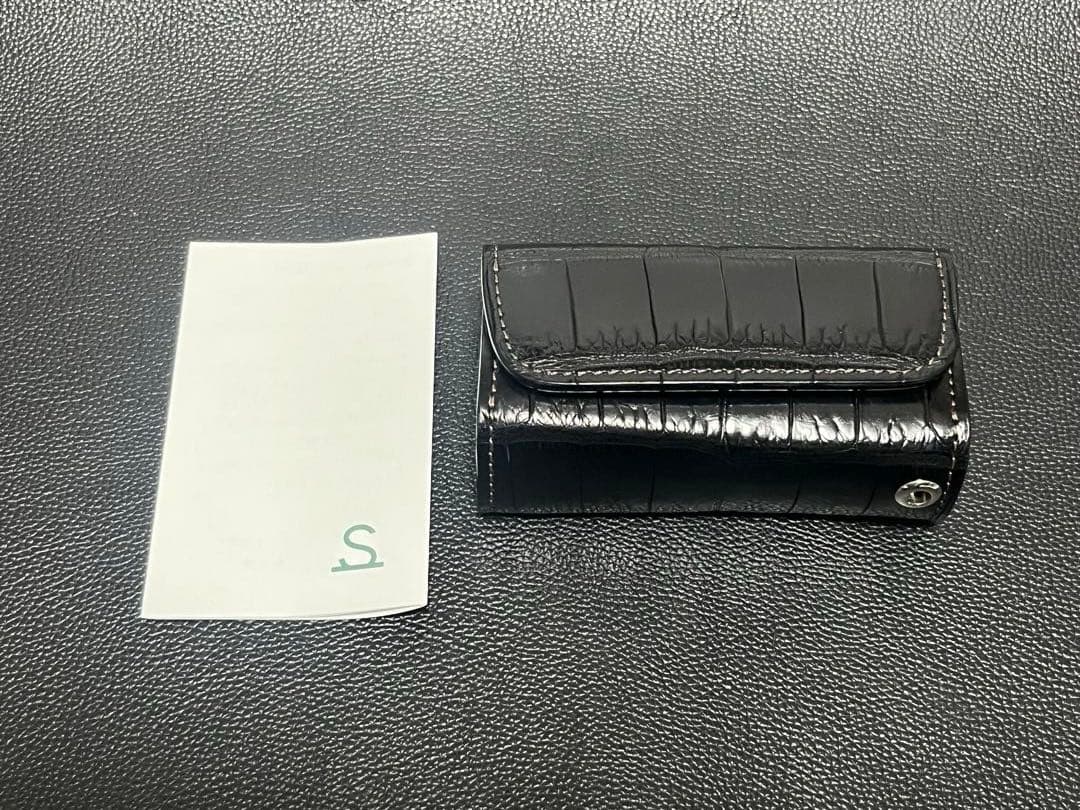 【ichikawa.1108a】ワイルドスワンズ　ダカール クロコダイル