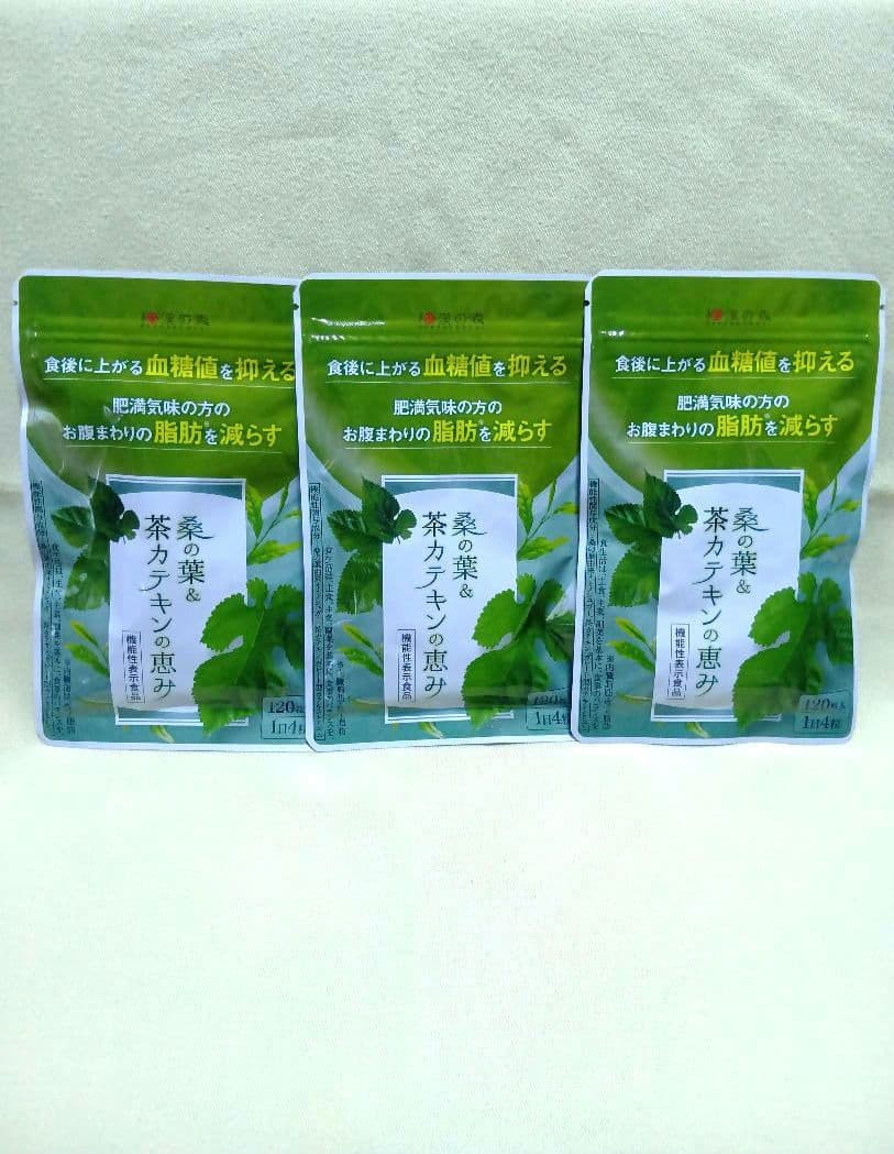 和漢の森 桑の葉&茶カテキンの恵み 120粒入×3袋 - メルカリ