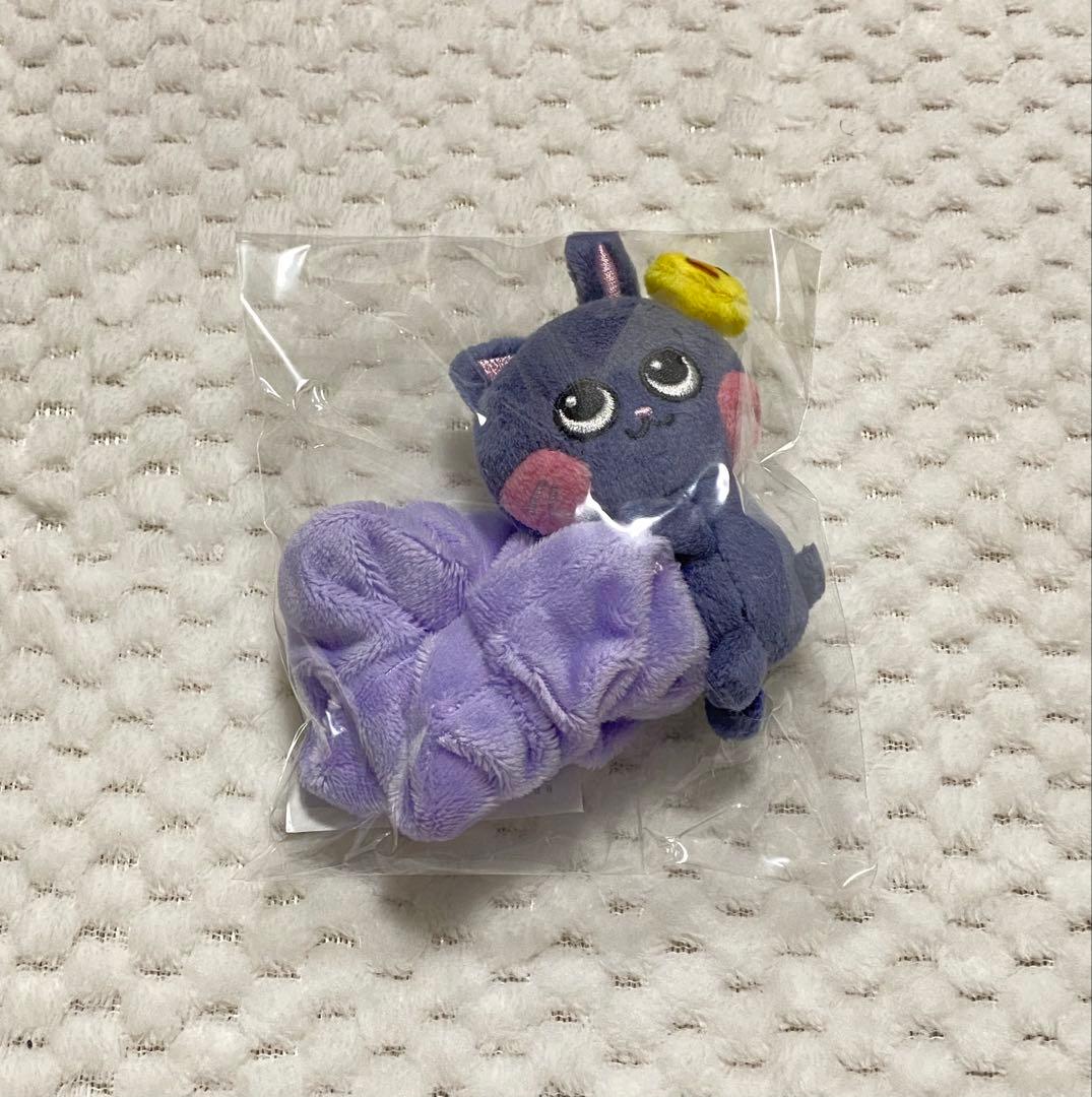 RIIZE ウォンビン トニャンドク シュシュ - メルカリ