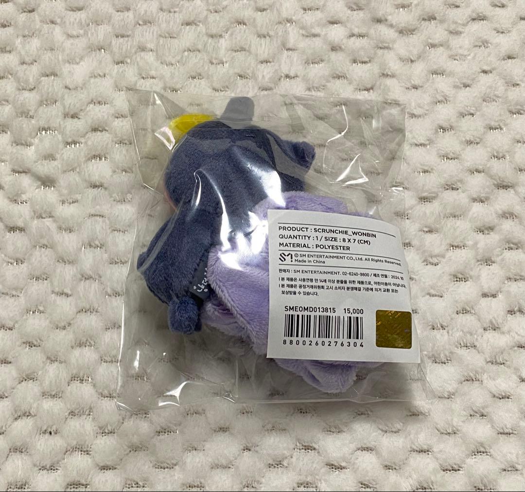 RIIZE ウォンビン トニャンドク シュシュ - メルカリ