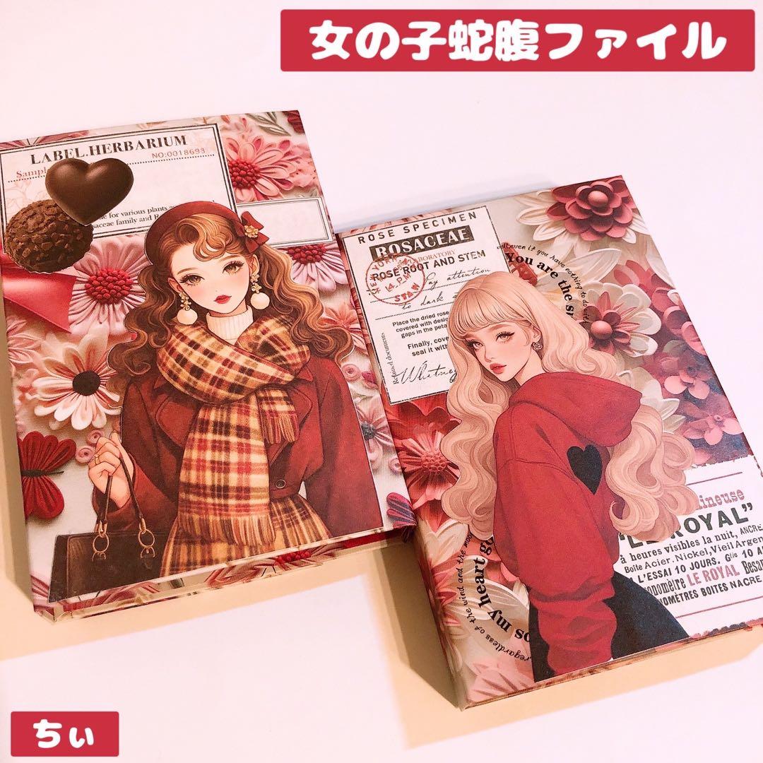 おすそ分け蛇腹ファイル コラージュファイル 女の子 花柄 紙もの 収納