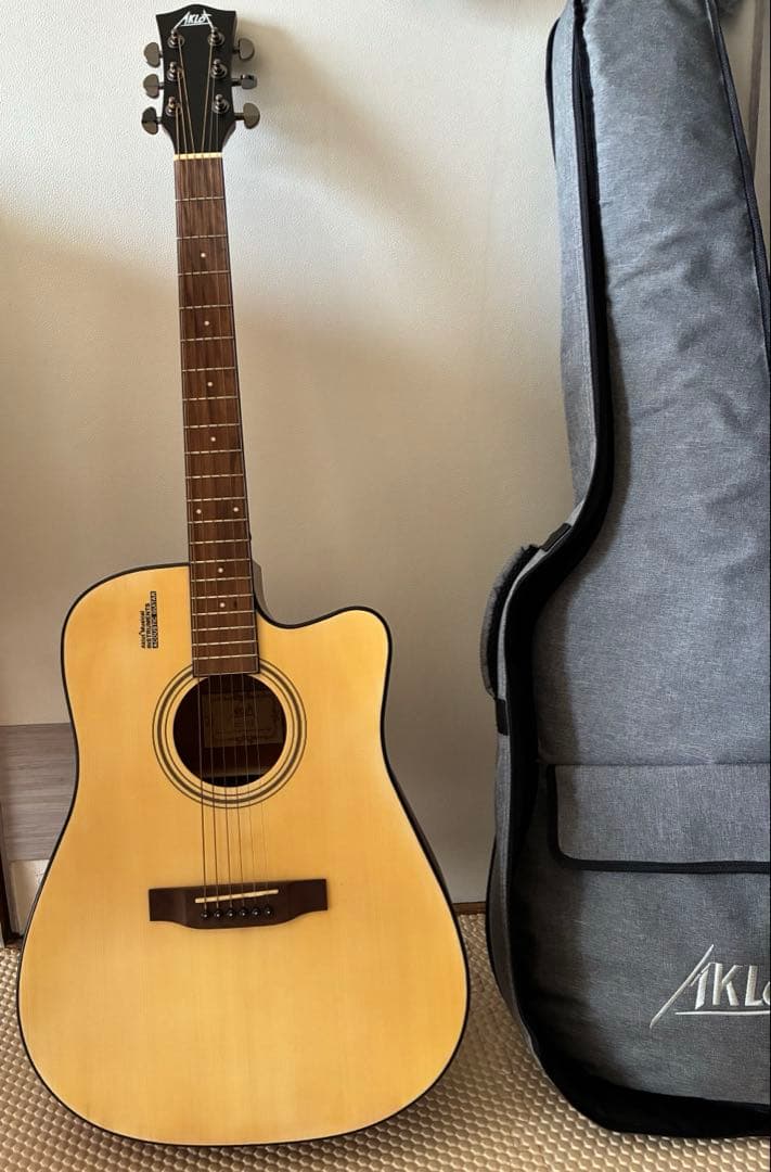 アコースティックギター 付属のケース付き