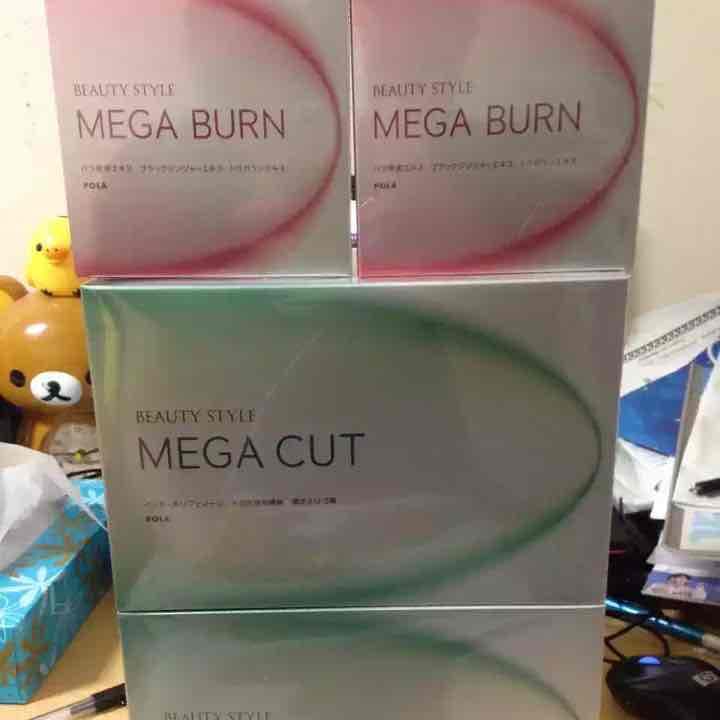 ポーラ メガシリーズ カット一個とバーン一個