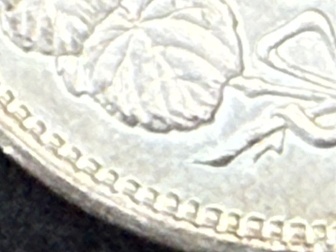 B*n様 【オークション】 明治九年 明治9年 貿易銀 《T-4》