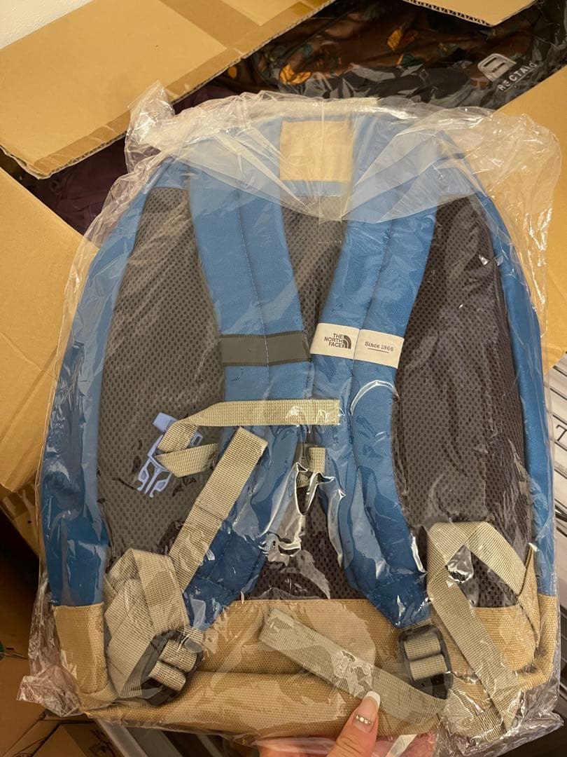 ノースフェイスリュックサック19L キッズ バンフブルー NMJ71751 新品