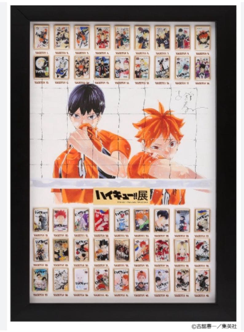 ハイキュー　コミックス全巻ピンズコレクション　ハイキュー展