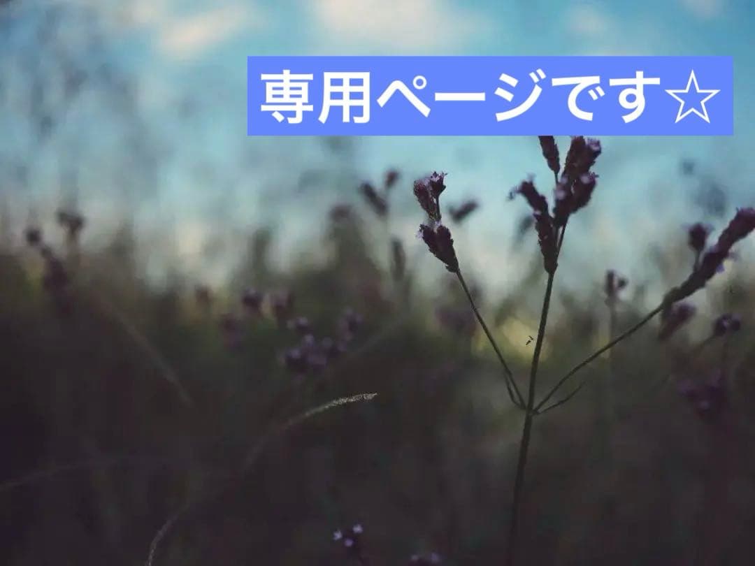 じばにゃんページです＊確認用