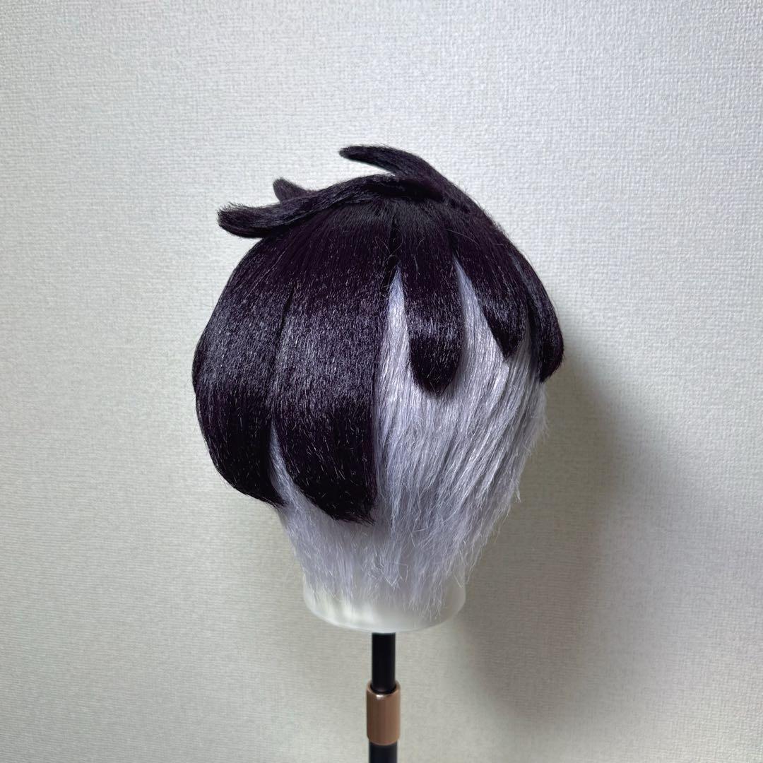 ポケモンZA カラスバ コスプレ ウィッグ 完成品 カットセット済み