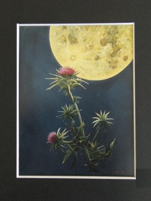 河合びこう、【ノクターン】、希少な限定額装用画集画、新品高級額 額装付