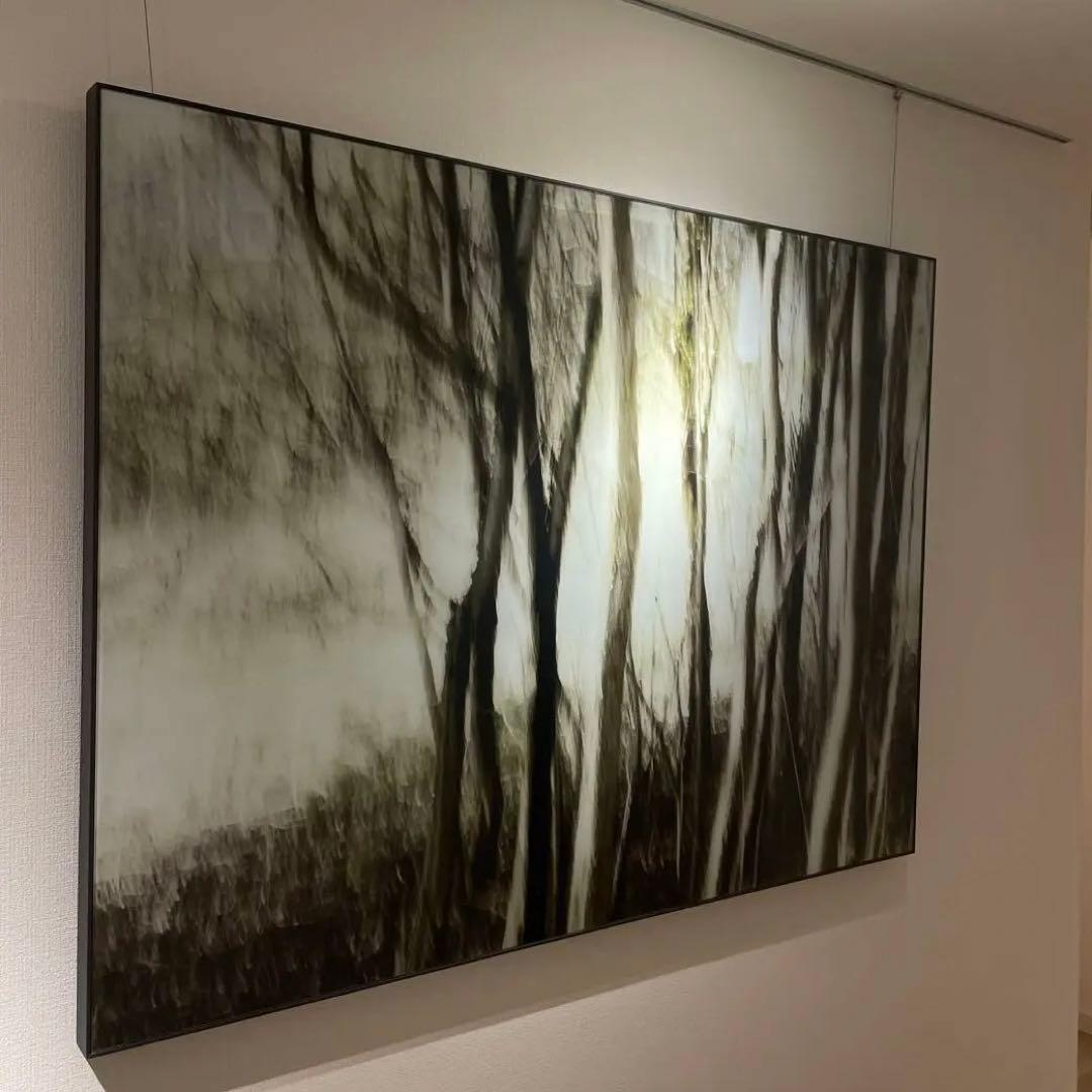 Bo Concept｜ガラスアート　ギャラリーグラスアート　「Forest」 Bo Concept｜ガラスアート ギャラリーグラスアート 「Forest」 - メルカリ