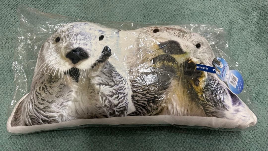 鳥羽水族館】ラッコのメイ☆キラクッション - メルカリ