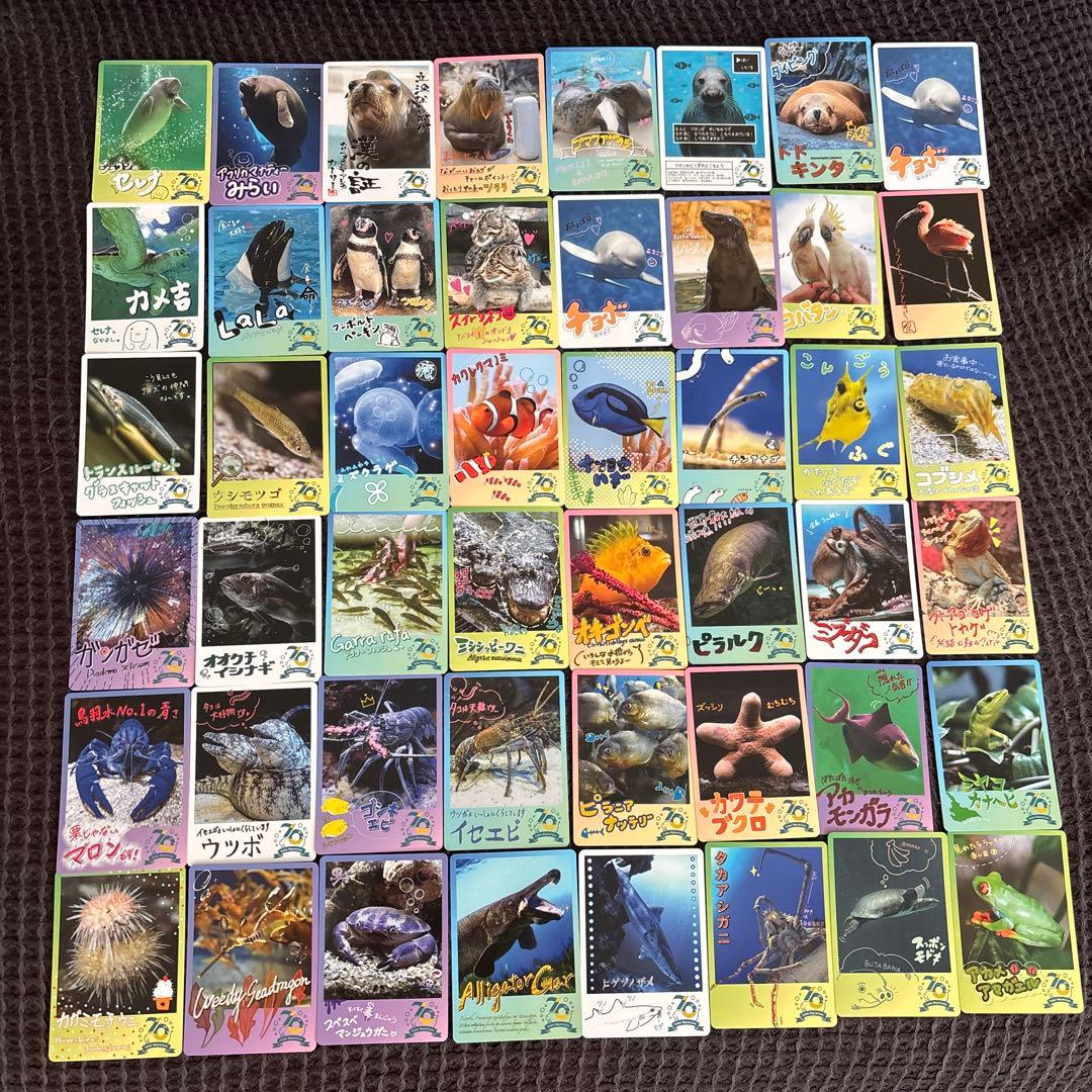鳥羽水族館 コレクションカード - メルカリ