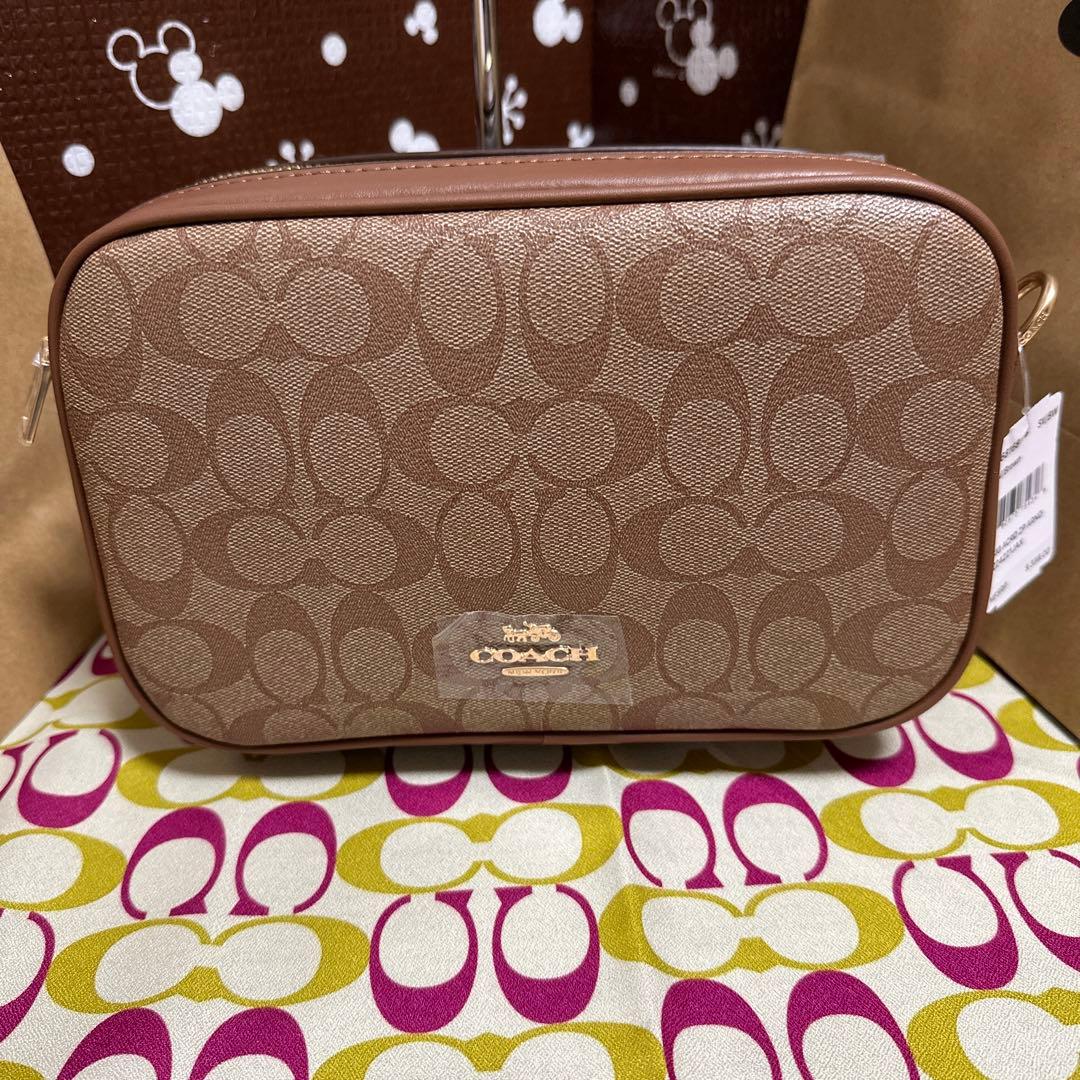 秩父三十四ヶ所巡拝記念 般若絵心経 掛け軸 希少